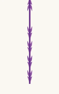 Diverse Thread Types - 02