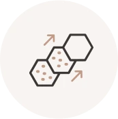 Melanin Increase (Hyperpigmentation)